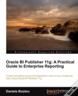 Capa do artigo Oracle Bi Publisher 11g