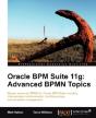Oracle Bpm Suite 11g: Advanced Bpmn Topics - Preview