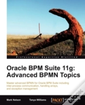 Capa do artigo Oracle Bpm Suite 11g: Advanced Bpmn Topics