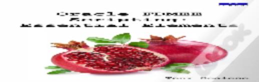 Oracle Fdmee Scripting