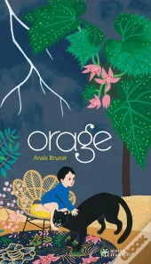 Orage