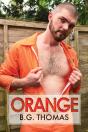 Orange - Preview