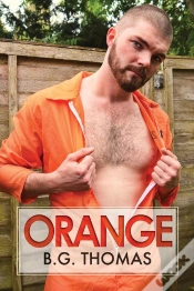 Capa do artigo Orange