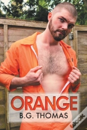 Capa do artigo Orange