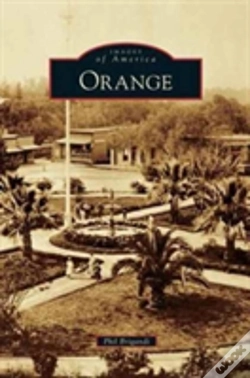 Capa do artigo Orange