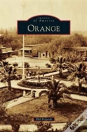 Capa do artigo Orange