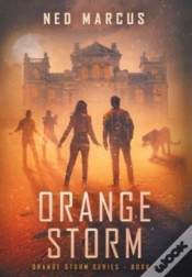 Capa do artigo Orange Storm