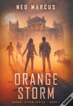 Capa do artigo Orange Storm