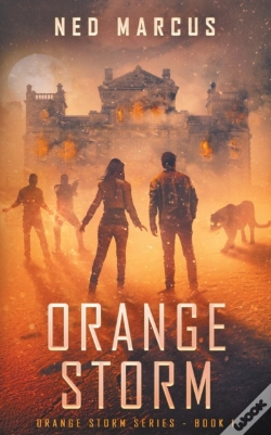 Capa do artigo Orange Storm