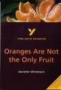 Oranges Are Not The Only Fruit: Everything You Need To Catch Up, Study And Prepare For 2025 Assessments And 2026 Exams - Preview