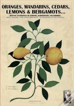 Capa do artigo Oranges, Mandarins, Cedars, Lemons & Bergamots..