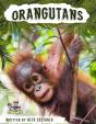 Orangutan Activity Workbook For Kids Age 4-8! - Preview