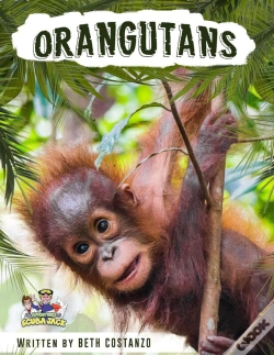 Capa do artigo Orangutan Activity Workbook For Kids Age 4-8!