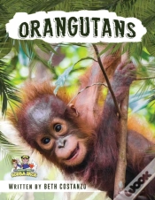 Capa do artigo Orangutan Activity Workbook For Kids Age 4-8!