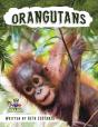 Orangutan Activity Workbook For Kids Age 4-8! - Preview