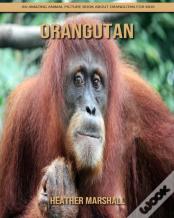 Orangutan