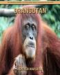 Orangutan - Preview