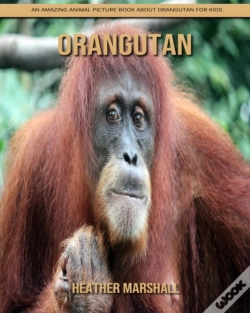 Capa do artigo Orangutan