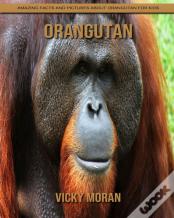Orangutan