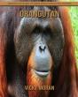 Orangutan - Preview