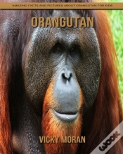 Capa do artigo Orangutan