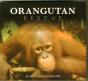 Orangutan Rescue - Preview