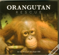Capa do artigo Orangutan Rescue