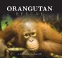 Orangutan Rescue - Preview