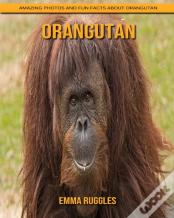 Orangutan
