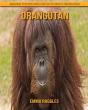 Orangutan - Preview