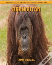 Capa do artigo Orangutan