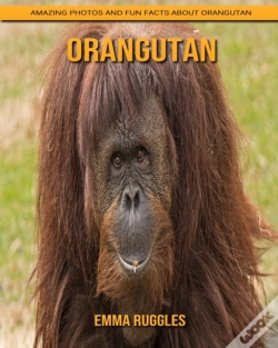 Capa do artigo Orangutan