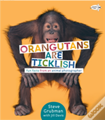 Orangutans Are Ticklish