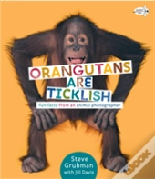 Orangutans Are Ticklish