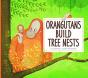 Orangutans Build Tree Nests - Preview