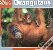 Capa do artigo Orangutans