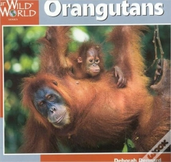 Capa do artigo Orangutans