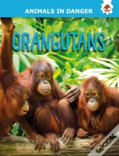 Capa do artigo Orangutans