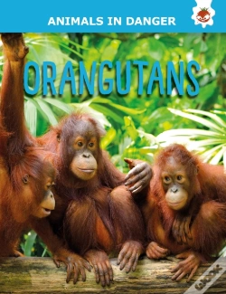 Capa do artigo Orangutans