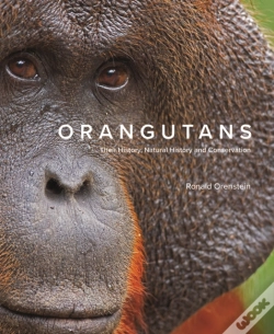 Capa do artigo Orangutans