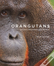 Capa do artigo Orangutans