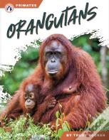 Orangutans