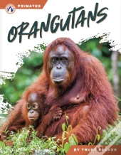 Orangutans