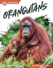 Capa do artigo Orangutans