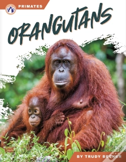 Capa do artigo Orangutans