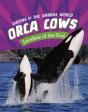 Orca Cows - Preview
