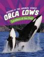 Orca Cows - Preview