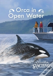 Capa do artigo Orca In Open Water
