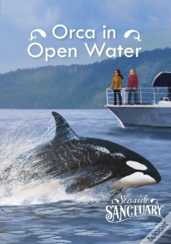 Capa do artigo Orca In Open Water
