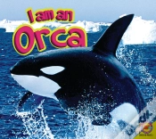 Capa do artigo Orca